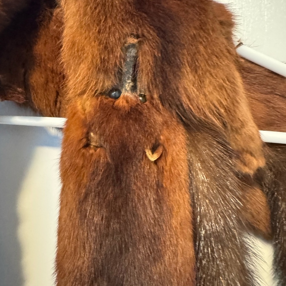 Vintage Red Fox Stole - Picture 4 of 10